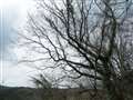 piCJ12-60mmł̃X`