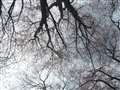 piCJ12-60mmł̃X`