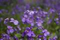 1/1250s, F3.5, ISO200