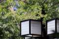 EF100-400mm f/4.5-5.6L IS II USM(300mm, F5.6, DLO��������)