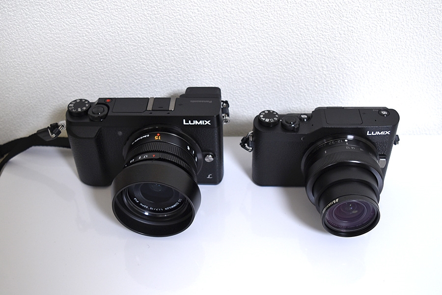 Panasonic Lumix G9 Pro Leica 12mm F1 4 Lens Review For Panasonic Lumix G9 Pro Leica 12mm F1 4 Lens Review For