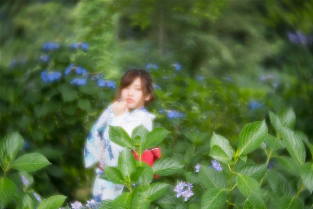 価格 Com ぐるぐるボケ Lensbaby Velvet 56 Se シルバー ニコン用 きくりんぐさんのレビュー 評価投稿画像 写真 使いこなしは難しいけれど ハマると面白いレンズ 3603