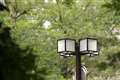 2) Sonnar135/1.8�{LA-EA3�{��6000