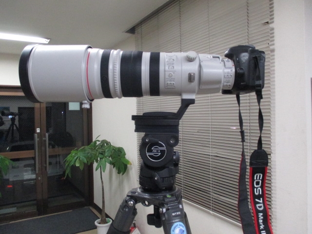 価格.com - CANON EF200-400mm F4L IS USM エクステンダー 1.4× 駒 ...