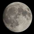 中秋の名月。これのみテレコン付きで。