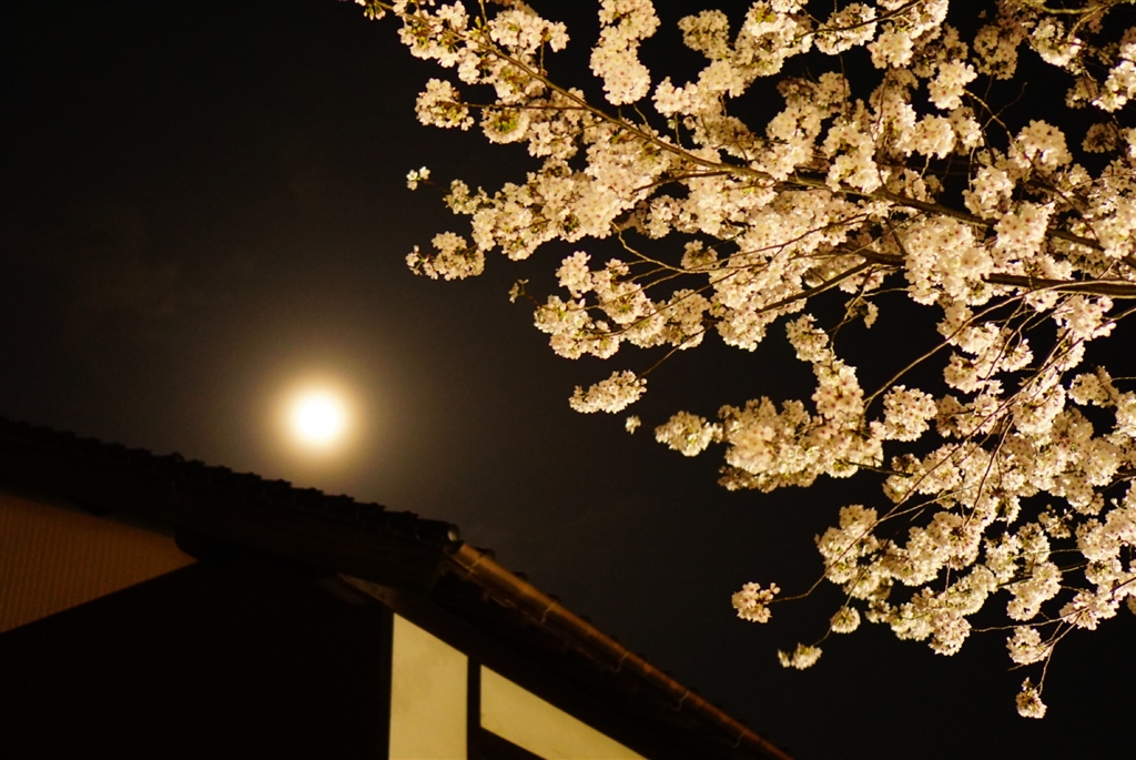 価格.com - 『作例1』SONY α6000 ILCE-6000L パワーズームレンズキット