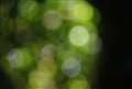 RDJłArIӂ܂ŕۂ_炩ʃ{PBif2.8j