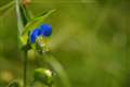cNTcY̓^18-250mm/F3.5-6.3B