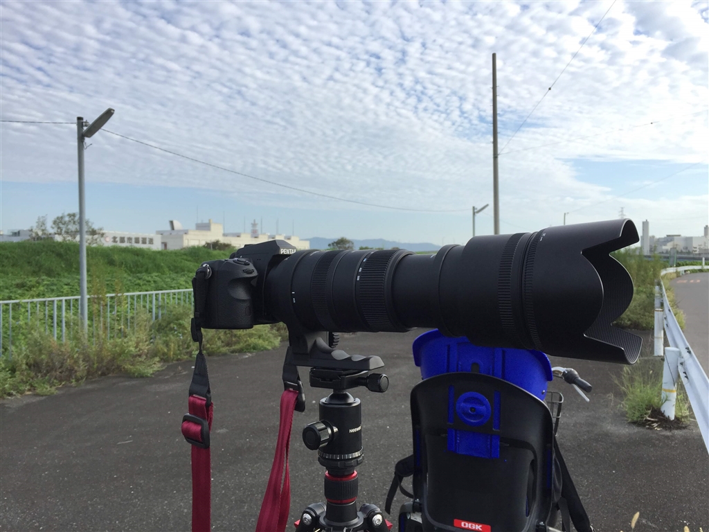 最終値下げ　シグマ APO 50-500mm F4-6.3 CANON シグマ APO 50-500mm F4.5-6.3 DG OS HSM [ペンタックス用] 価格比較