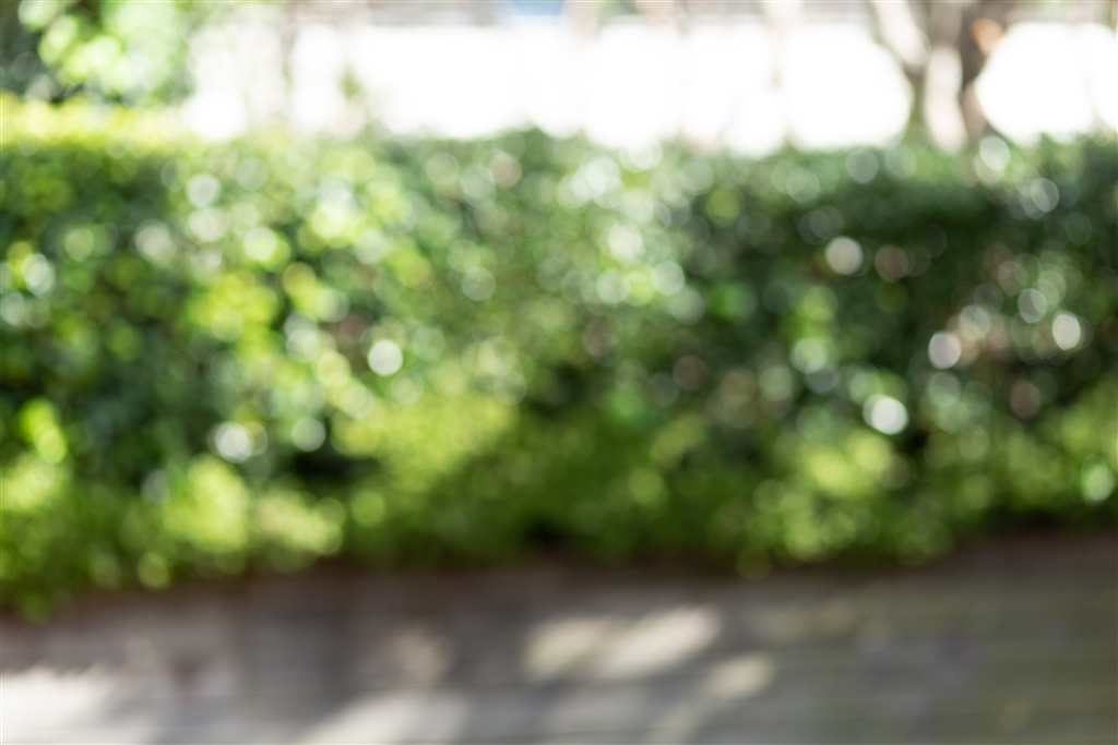 価格.com - 『F2.2での玉ボケ』CANON EF85mm F1.8 USM ☆たましろ
