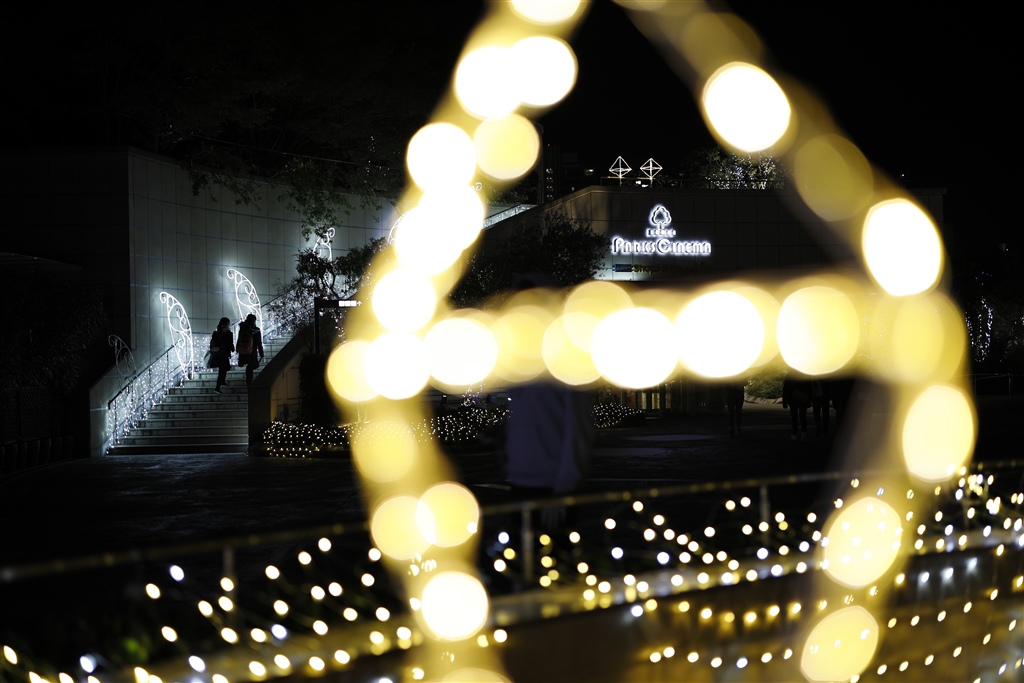 価格.com - 『F1.6 玉ボケ』CANON RF50mm F1.2 L USM 黒仙人さんの