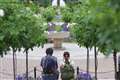 yg 50mm f1.7 5000~炢̃Y