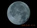 @416mm(2340mm)ISO125f/6.5 1/640bI@Be[hŎOrgpB