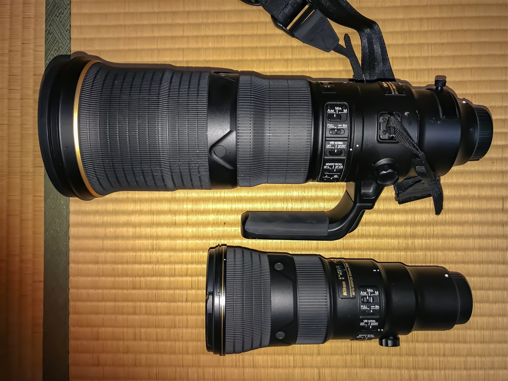 価格.com - 『ゴーヨンとの比較。』ニコン AF-S NIKKOR 500mm f/5.6E PF ED VR  hiratamago1さんのレビュー・評価投稿画像・写真「軽さと解像度のベストマッチ。」[442213]