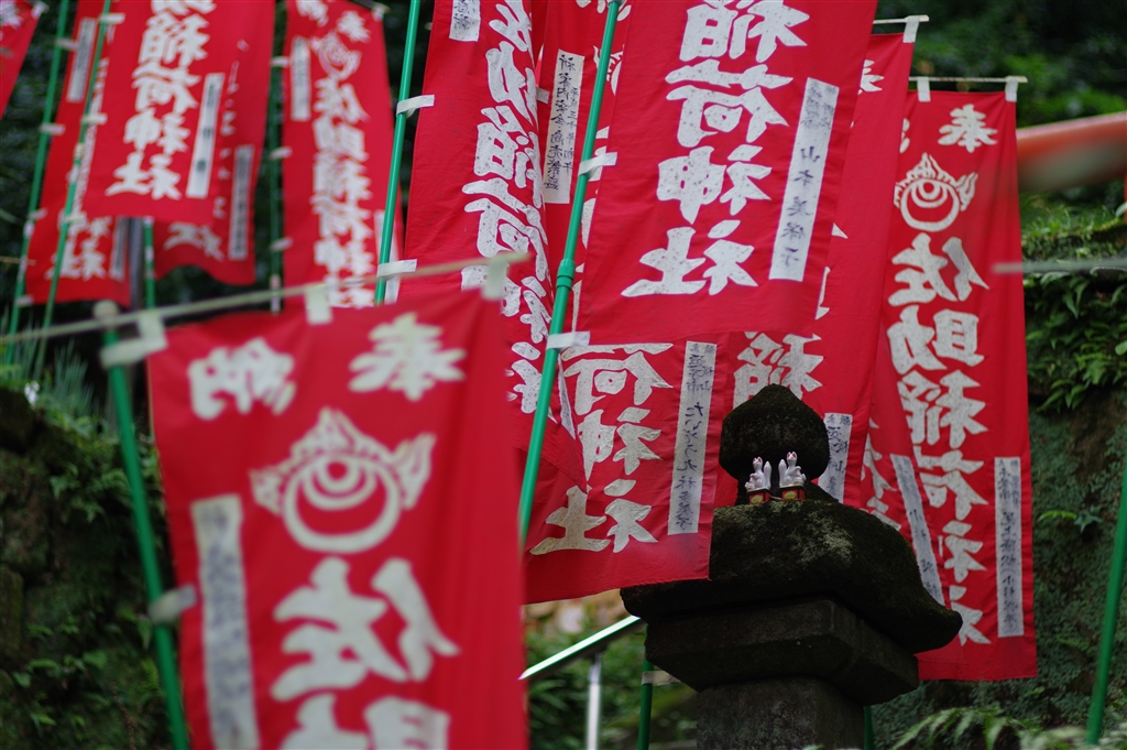 価格 Com 佐助稲荷神社 赤と緑が綺麗です ペンタックス Pentax Kp ボディ ブラック Kg Noriさんのレビュー 評価 投稿画像 写真 外面も内面も素晴らしいカメラです 再々レビュー 4443