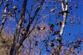 FA43_1/640s,f4,43mm,ISO100