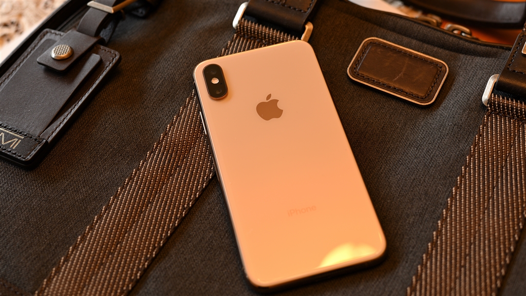  Appleが依然としてiPhone Xをブラッシュゴールドで販売する計画を示唆する大ざっぱな噂