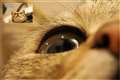 ISO3200���{�؂�o��