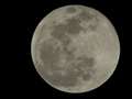 光学ズームで月を撮影