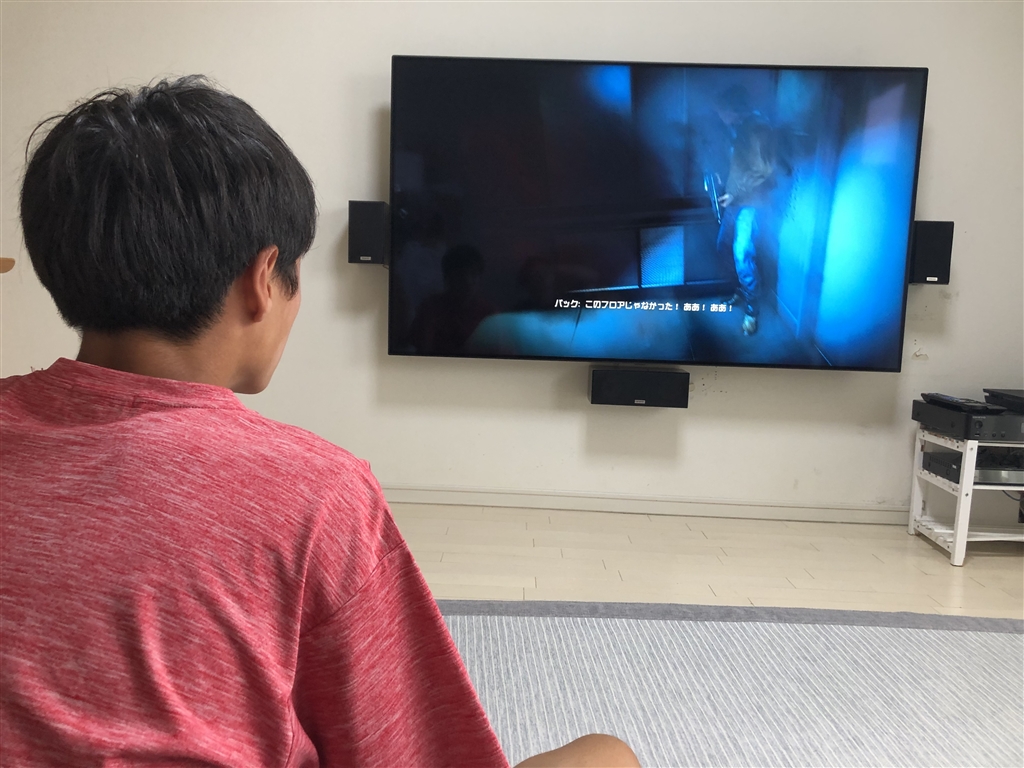 価格.com - LGエレクトロニクス 65SM9000PJB [65インチ] こちのいえ