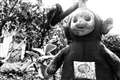 odmƌ΃tmN[