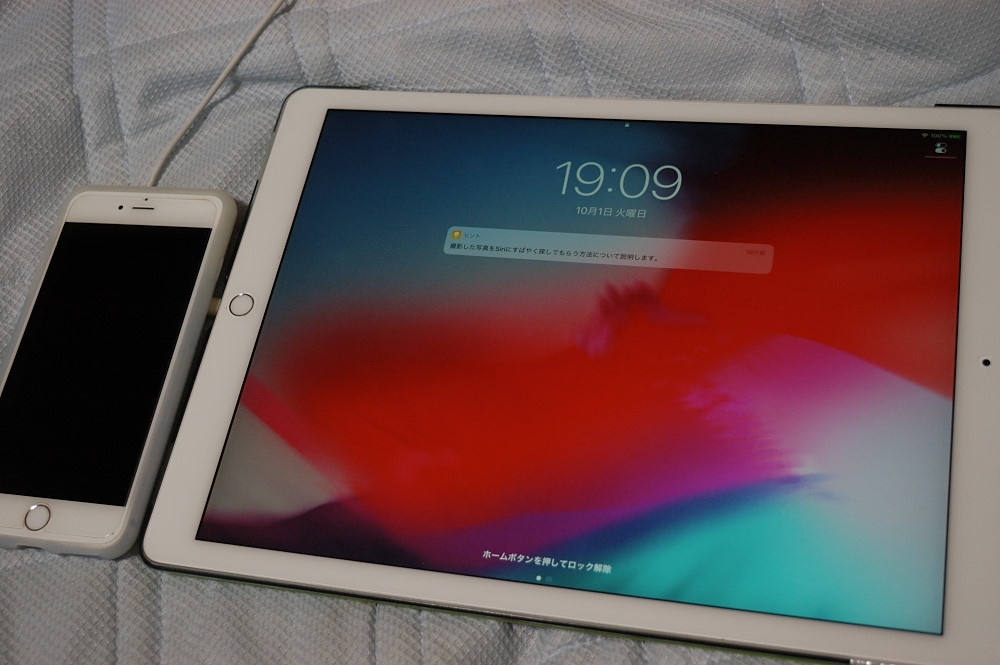 価格.com - 『並んでいるのはiPhone 6Plusです。』Apple iPad Pro 12.9インチ Wi-Fi+Cellular