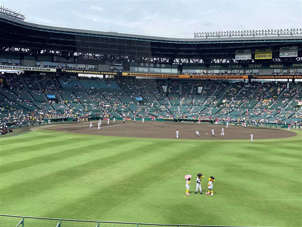 価格 Com 標準 Apple Iphone 11 Pro 256gb Au ミッドナイトグリーン ライト 外野指定席さんのレビュー 評価投稿画像 写真 ちょっと重いけどそのうち慣れるかな 4360