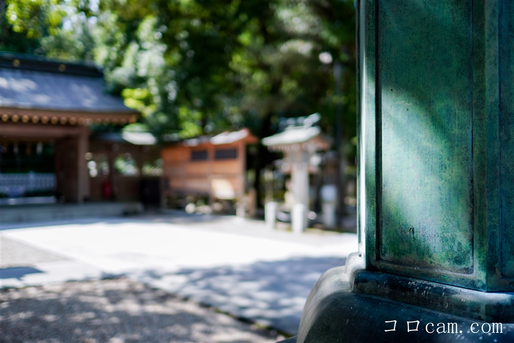 価格.com - 『α6400と。影の描写も良き』SONY Sonnar T* E 24mm 価格.com - 『α6400と。影の描写も良き』SONY Sonnar T* E 24mm