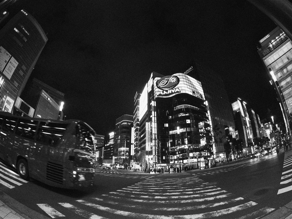 パナソニック LUMIX G FISHEYE 8mm/F3.5 H-F008 カメラレンズ LUMIX G FISHEYE 8mm/F3.5 LUMIX（ルミックス） ブラック