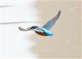 AF-C@gbLO[h