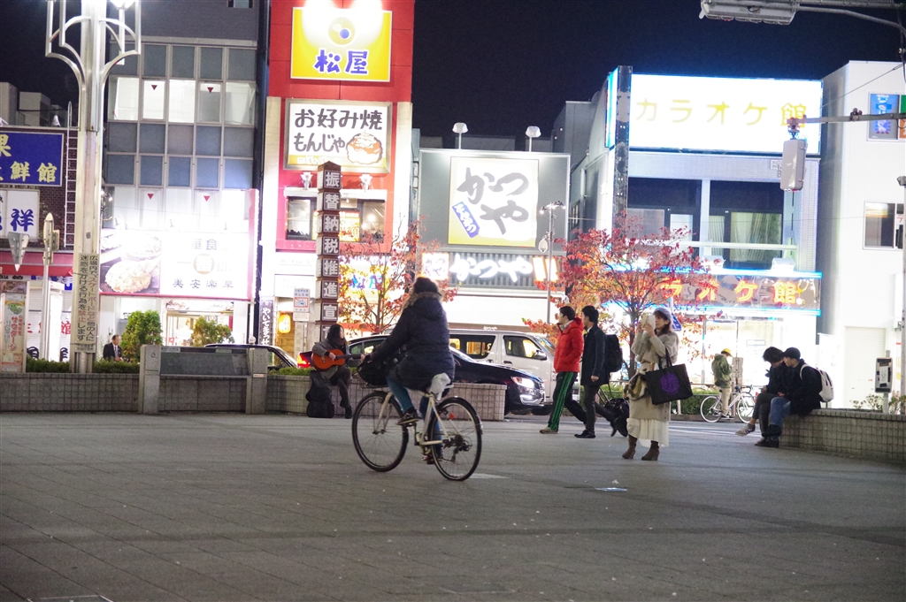 ペンタックス Kp 動体