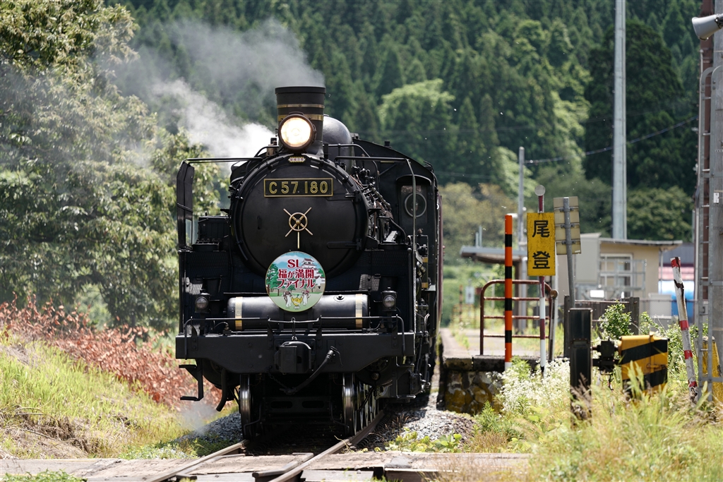 価格.com - 『こんなショットが得意です。』ライカ APO-VARIO-ELMARIT