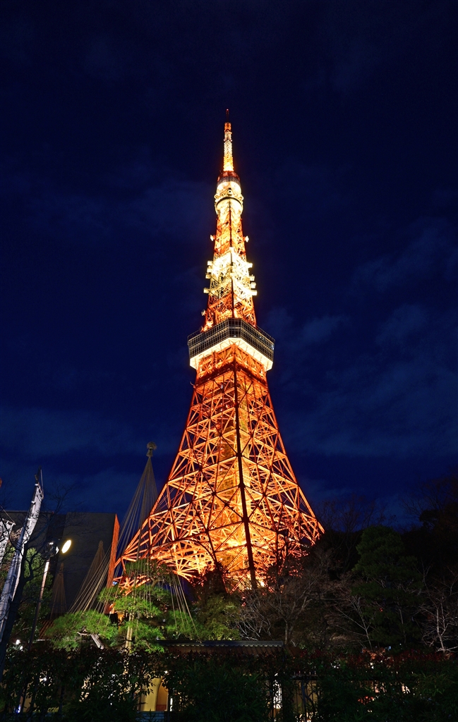 価格.com - 『東京タワー夜景』ニコン NIKKOR Z DX 16-50mm f/3.5-6.3
