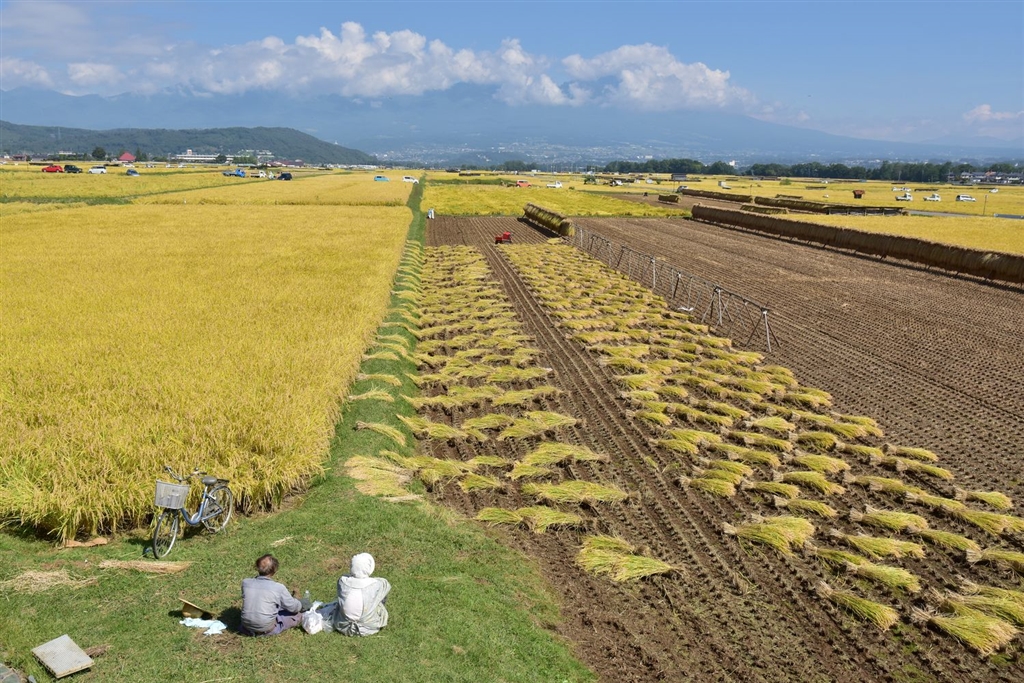 価格.com - 『休息』ニコン D7200 ボディ 只今さんのレビュー・評価