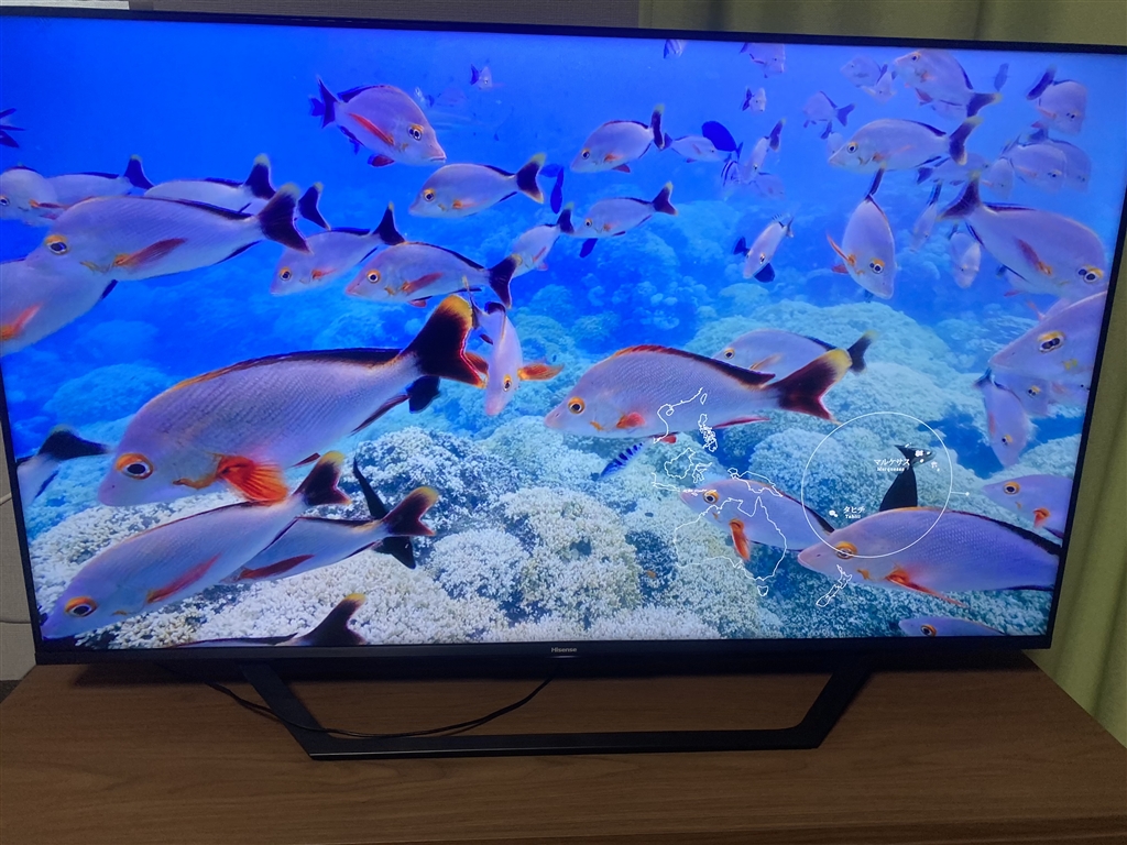 ハイセンス　50U7F 液晶テレビ　2021年製 ハイセンス 東証上場の安心企業/Hisense 50U7F 50V型 地上・BS