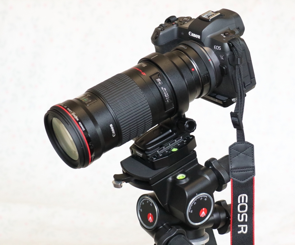 価格.com - 『花の撮影機材』CANON EF180mm F3.5L マクロ USM ディラ海