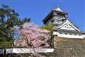 桜と青い空と小倉城