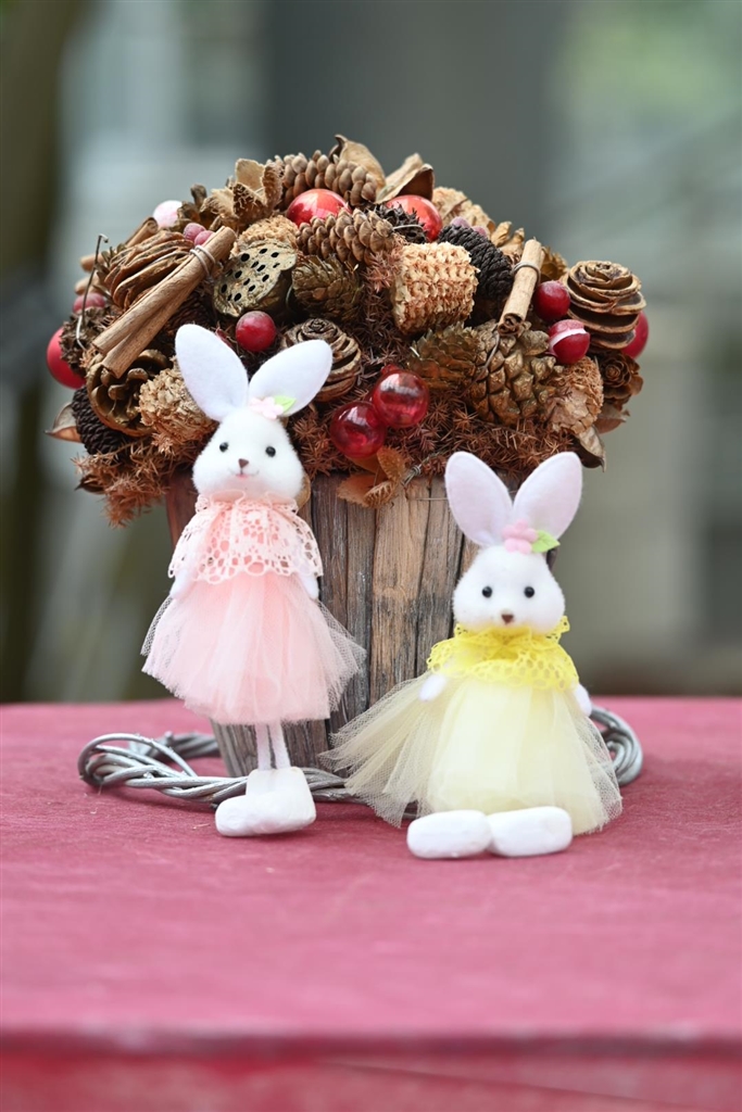 ニコン Z50 バッテリー