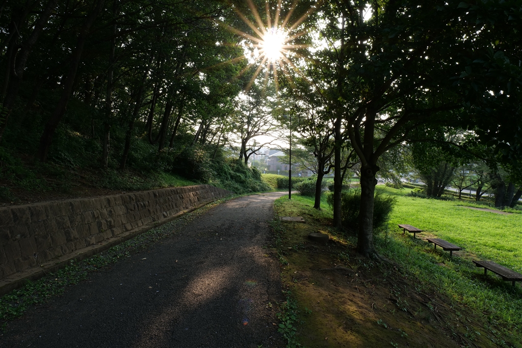 価格 Com 光芒はf22まで絞ってもこんな感じです パナソニック Lumix S 60mm F3 5 5 6 S R60 ふに ふらさんのレビュー 評価投稿画像 写真 レビューが無く寂しいので初レビューします