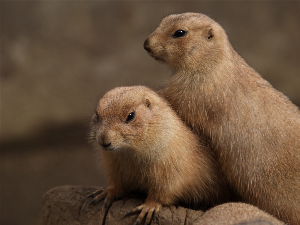 『モニターに映るリアル③』オリンパス E1 ボディ 低感度フォトさんのレビュー・評価投稿画像・写真「写真は表現とか云う