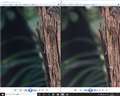 F7Dmark2 ISO1250 EFR6 ISO3200