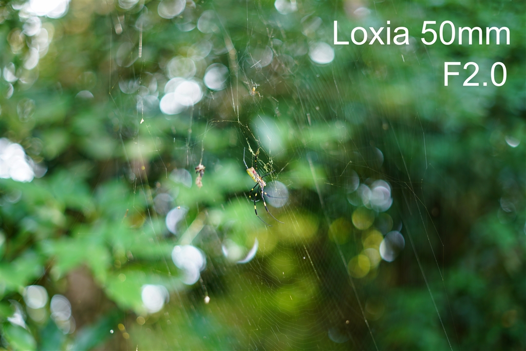 価格.com - 『Loxia F2.0 玉ボケ』カールツァイス Loxia 2/50 価格.com - 『Loxia F2.0 玉ボケ』カールツァイス Loxia 2/50