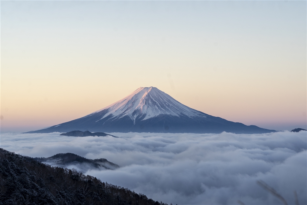 価格com 『望遠域』sony Fe 24 240mm F35 63 Oss Sel24240 Nobw2001さんのレビュー・評価 
