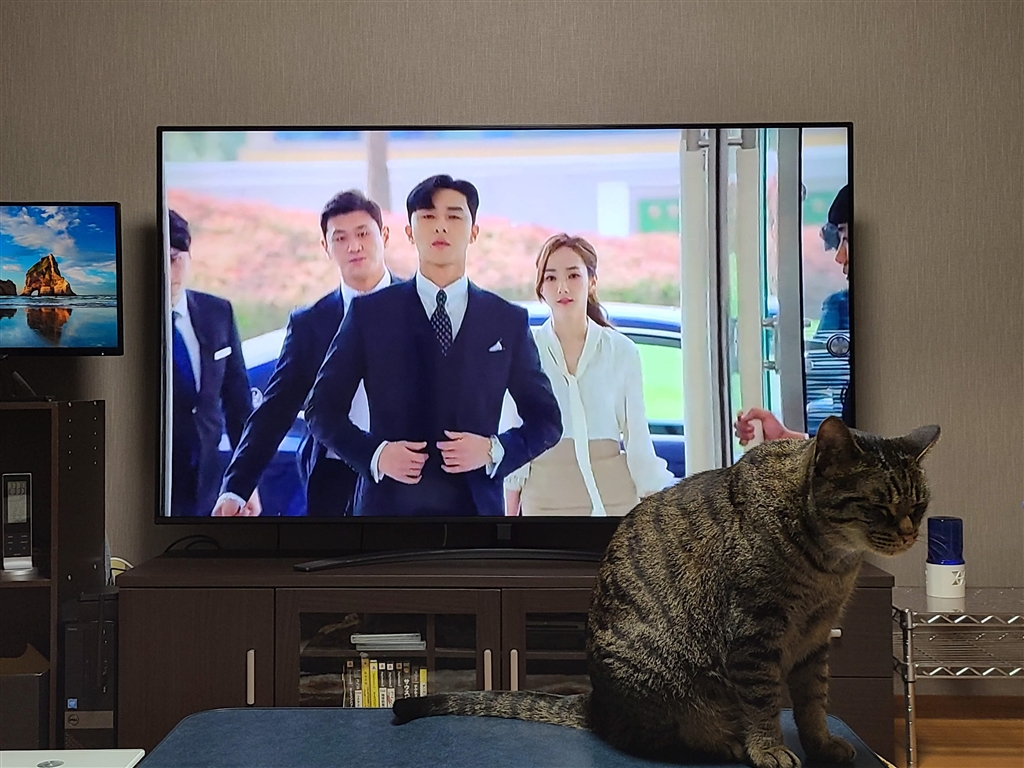 価格.com - LGエレクトロニクス 65NANO91JNA [65インチ] さくたろー555