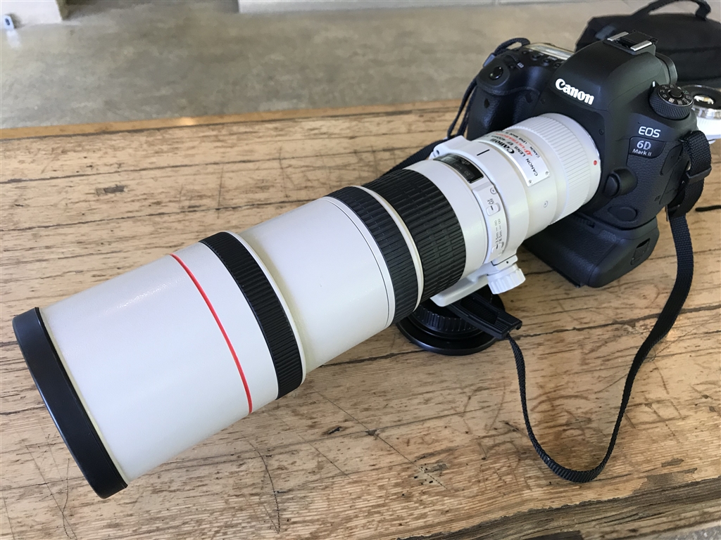 価格.com - 『Canon EOS 6D Mark Ⅱに着けた状態。』CANON EF400mm F5.6L USM  おたんちんなっくさんのレビュー・評価投稿画像・写真「超望遠レンズだからといっても、肩肘張る必要の無いレンズです。」[556931]