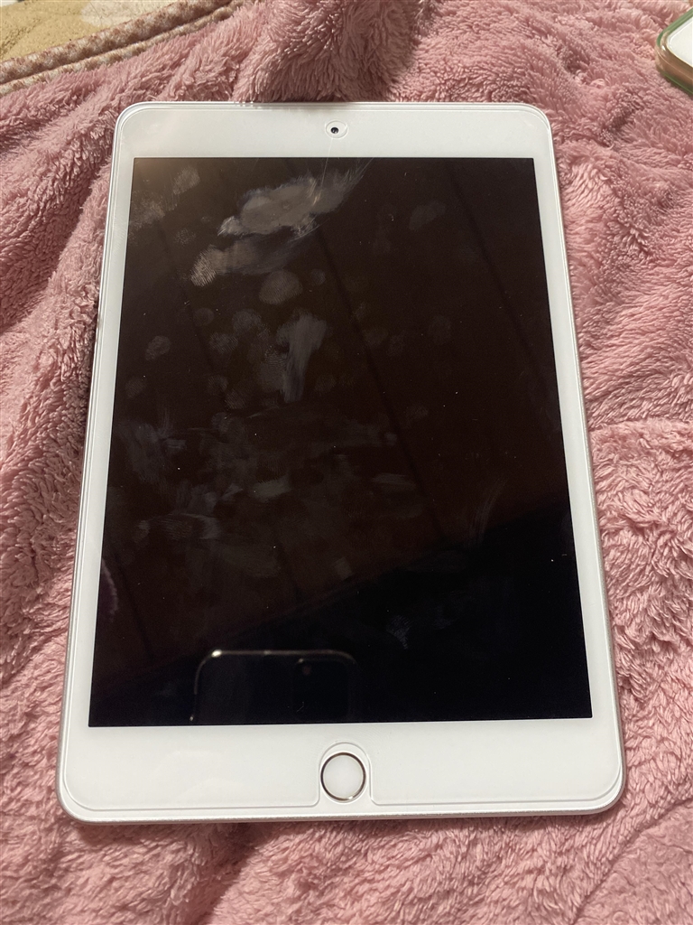 価格.com - 『iPad8世代の半分くらい？』Apple iPad mini 7.9インチ 第5世代 Wi-Fi 64GB 2019年春
