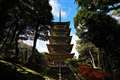 石川県羽咋市 妙成寺にある北陸地方唯一の五重塔