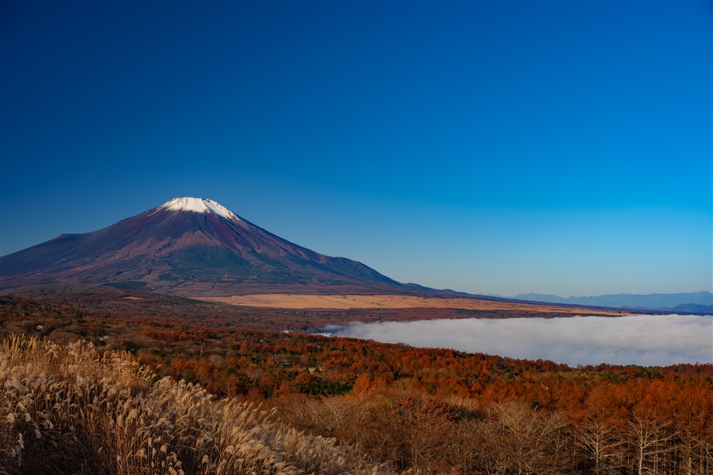 価格 Com タムロン35ｍｍf1 4です シグマ Mount Converter Mc 21 Canon Ef L ライカl用 ふにふらさん のレビュー 評価投稿画像 写真 使えるレンズが格段に増える