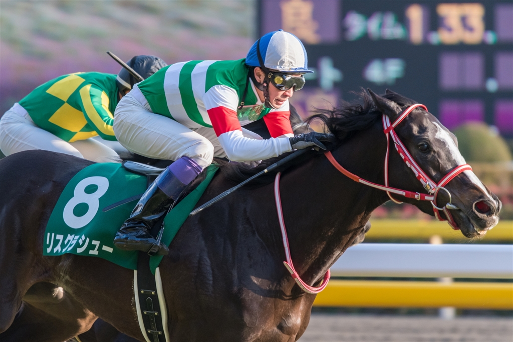 価格.com - 『最強牝馬』シグマ 100-400mm F5-6.3 DG OS HSM [ニコン用