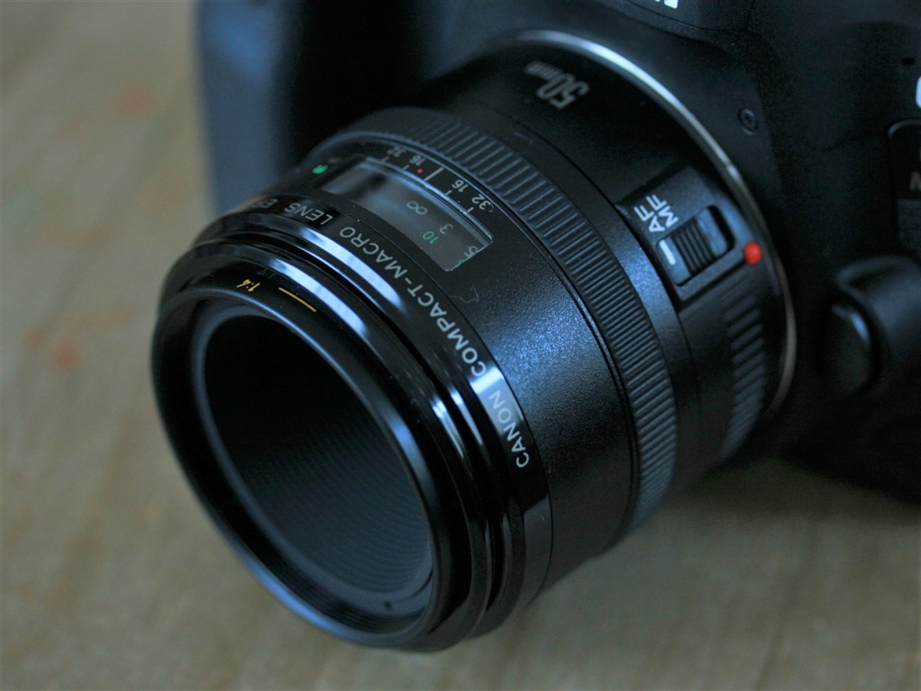Canon EF50mm F2.5 EFマウント コンパクトマクロレンズ - カメラ